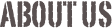 ABOUT US